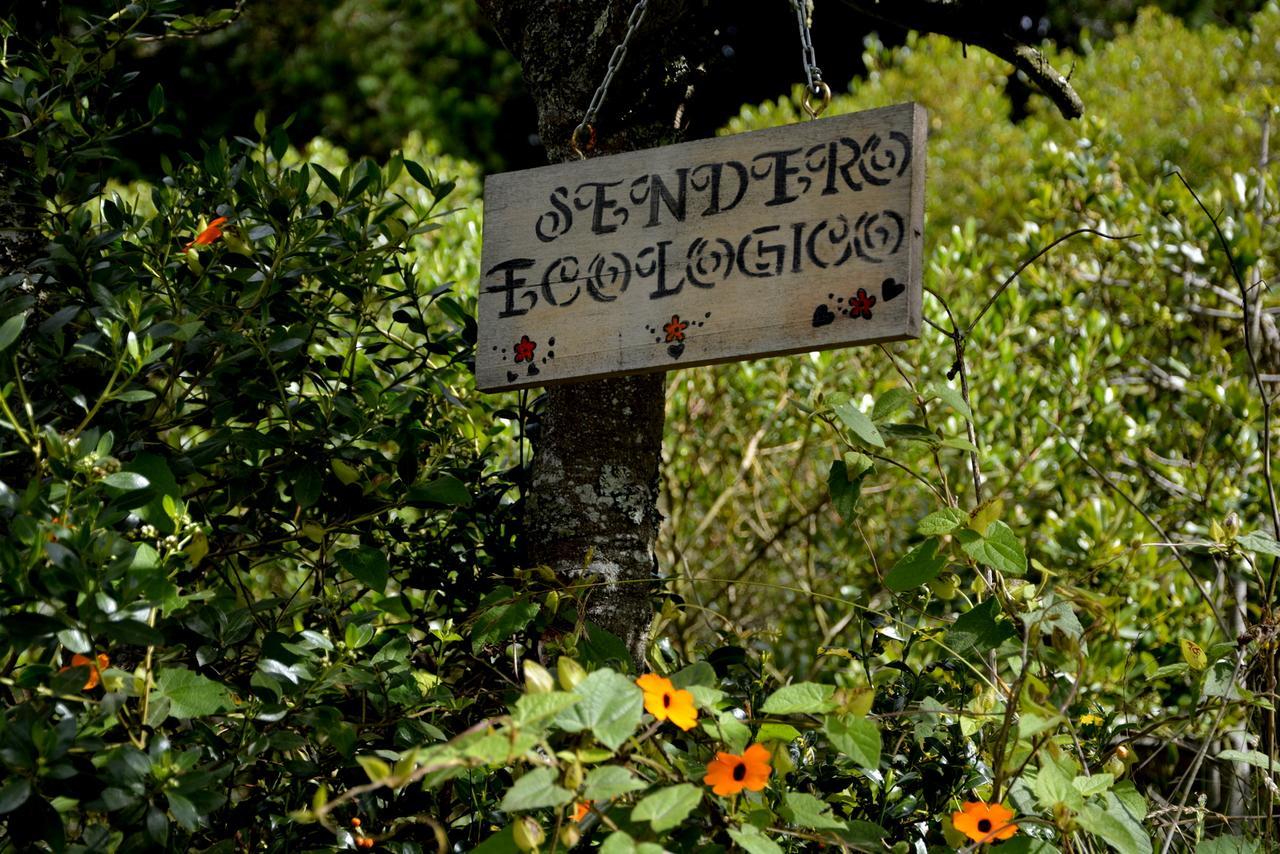 El Pedregal Sopo Bed and Breakfast Eksteriør billede