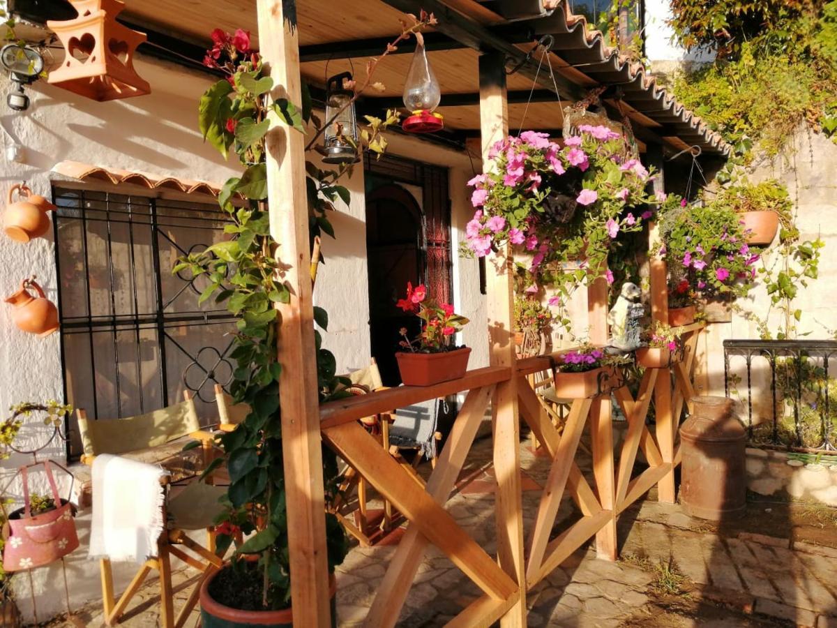El Pedregal Sopo Bed and Breakfast Eksteriør billede